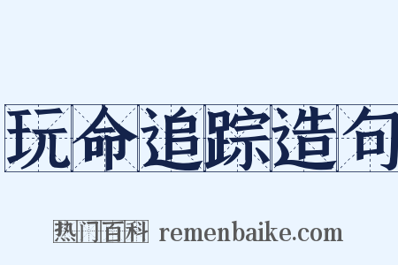 玩命追踪造句是什么意思的图片